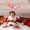 Apple Highchair Banner - 1st Birthday Girl Decoration, Red and Gold High Chair Banner, Apple of My Eye Themed Cake Smash Photo Prop view 3