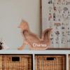 Custom Wooden Piggy Bank, Creative Animal Shape Piggy Bank, Personalized Desktop Home Decorations, Birthdays Christams Gifts for Boys and Girls (Fox) view 4