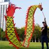 10m / 8m Long Fitness Dragon Dance Flow Ribbon Throw Streamer, for Youth Grown-Up Adults Elderly, Chinese Traditional Folk Exercise Equipment (Color : A, Size : 8m/26ft) view 2