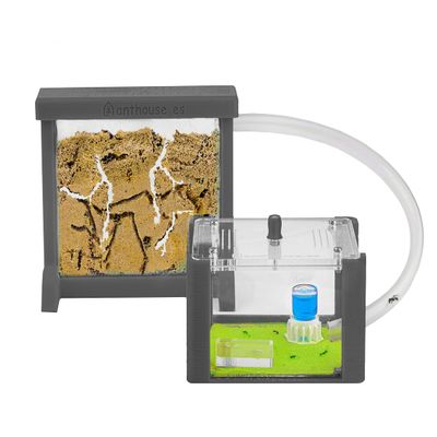 Anthouse - Basic Natural Sand Ant Farm - 3D Ant Terrarium - Acrylic Sandwich-Type - Foraging Box with Lid Included - Grey Color