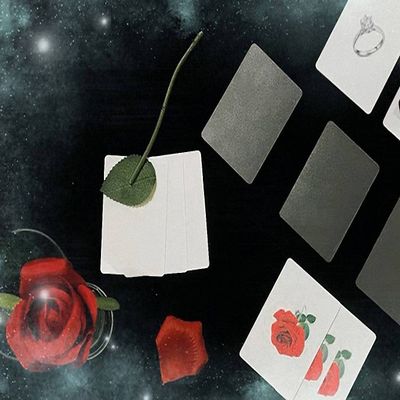 Rose Lover - Close Up Trick / Magic Trick / Magic Props / Party Trick / Magic Gimmick