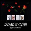 Rose & Coin - Close Up Trick / Magic Trick / Magic Props / Party Trick / Magic Gimmick view 1