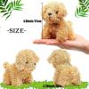 Anboor Small Stuffed Animals4.8 Inch Cute Puppy Dog Plush Stuffed Animal with Keychain for Party Favors (Light Brown) view 4
