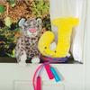 Alphapals Educational Plush Letter J - Lemon Yellow Large 11" Stuffed Alphabet - Machine Washable Toys - Perfect Learning Language Awareness and ABCs Recognition Gifts for Kids, 3, 4, & 5 Year Olds view 3