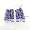Royal Purple Borealis Dice Luminary with Gold Numbers D20 Aprox 16mm (5/8in) Pack of 50 Wondertrail view 2