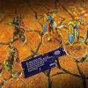 LITKO 3-inch Fight Gauge | Combat Movement | Compatible with Warhammer Age of Sigmar 3rd Edition (Translucent Blue) view 2