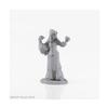 Reaper Miniatures Brinewind Townsfolk Goose Lady Unpainted #04022 Unpainted Figure view 1
