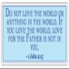 1 John 2:15 | Do not Love The World or Anything in The World | Car Sticker 3x8 inches view 1