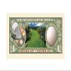 American Art Classics Pack of 25 - Golfing Fore Dollar Bill - Great Golf Gift - Fun Item for Golfers view 3