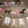 Horse Birthday Decorations  Happy Birthday Burlap Banner  Felt Horse Garland and Pennant Banner  Horse Party Supplies view 3