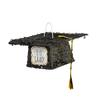 Graduation Cap Piata view 1