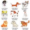 50Pcs Cute Dog Stickers for Kids Vinyl Dog Stickers for Water Bottles Laptop Waterproof Puppy Stickers Pack view 3