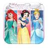 Disney Princess Party Supplies Bundle Pack for 16 includes 16 Dessert Cake Plates, 16 Lunch Plates, 16 Napkins, 1 Table Cover, 8 Sticker Sheets view 2