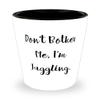 Beautiful Juggling Shot Glass, Don't Bother Me, I'm Juggling, Present For Friends, Sarcasm Gifts From view 1