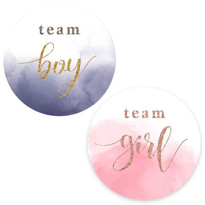 120Pcs Watercolor Gender Show Stickers Boy or Girl Stickers for Gender Post Team Pink Team Blue Sticker Baby Shower Games Labels Sticker Small