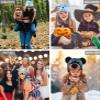 DolliBu Bears and Dogs Animal Plush Hat Set of 4  Super Soft Black Bear, Wolf, Grizzly, Husky Warm Hats with Ear Flaps, Cute Stuffed Animals Toy Hats, Cozy Fleece Winter Hat for All Ages - 1 Size view 3