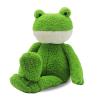 AEECASI Soft & Cute Green Frog Plush Stuffed Animal - 15.7" Long-Leg Fluffy Frog Plushie Toy, Stuffed Frog Doll Gift for Kids and Adults view 1