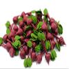 12 Beetroots Vegetable Dollhouse Miniatures Food Kitchen by 1shopforyou view 1