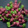 12 Beetroots Vegetable Dollhouse Miniatures Food Kitchen by 1shopforyou view 4