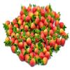 1shopforyou Realistic Fake Fruit Artificial Lifelike 20 Red Strawberry SS Dollhouse Miniatures Food Kitchen no.2 view 1