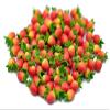 1shopforyou Realistic Fake Fruit Artificial Lifelike 20 Red Strawberry SS Dollhouse Miniatures Food Kitchen no.2 view 2