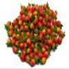 1shopforyou Realistic Fake Fruit Artificial Lifelike 20 Red Strawberry SS Dollhouse Miniatures Food Kitchen no.2 view 3