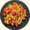 1shopforyou Realistic Fake Fruit Artificial Lifelike 20 Red Strawberry SS Dollhouse Miniatures Food Kitchen no.2 view 4