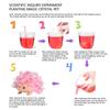 icotoibabie Crystal Growing Toys for Kids - Vibrant Colorful Crystal Hedgehog to Grow,Science Experiments Learning and Education for Kids STEM Gifts for Boys & Girls 8 Years + (Dream Pink) view 4