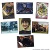 Panini Harry Potter 20 Year Anniversary Box view 4