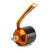 Spektrum Avian 5065-450Kv Outrunner Brushless Motor, SPMXAM4770 view 3