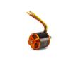 Spektrum Avian 5065-450Kv Outrunner Brushless Motor, SPMXAM4770 view 4