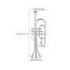 NUOBESTY 1pc Musical Trumpet Prop Fake Plating Trumpet Model Toy for Kids Early Wind Instrument Learning Tool view 2