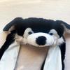 Mordarli Unicorn Hat Plush Bunny Hats Caps with Ears Moving Jumping Pop Up view 4