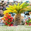 HANABASS Plants Decor 2 Boxes of Miniature Flower Tuft DIY Miniature Flower Cluster Static Scenery Model for Sand Table Doll House Train Landscape Railway Artificial Grass Model Miniatures view 3