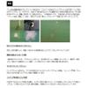 Smith LTD Puppet Surface 12 Fake Bone 31mm view 2