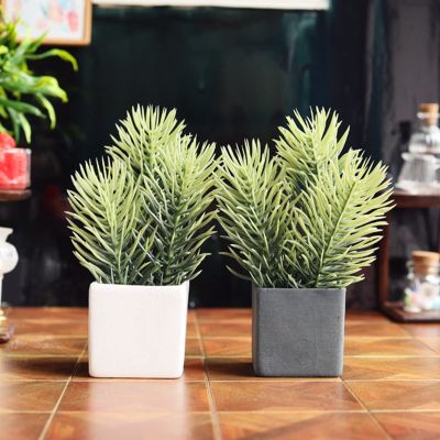 Cuteam 1:6 Scale Dollhouse Furniture, Green Plant Simulated Portable Ceramic Doll House Miniature Pine Branches for 1/6 Doll House - White