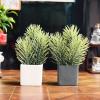 Cuteam 1:6 Scale Dollhouse Furniture, Green Plant Simulated Portable Ceramic Doll House Miniature Pine Branches for 1/6 Doll House - White view 1