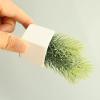 Cuteam 1:6 Scale Dollhouse Furniture, Green Plant Simulated Portable Ceramic Doll House Miniature Pine Branches for 1/6 Doll House - White view 2