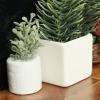 Cuteam 1:6 Scale Dollhouse Furniture, Green Plant Simulated Portable Ceramic Doll House Miniature Pine Branches for 1/6 Doll House - White view 4