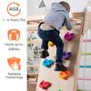Avenlur Magnolia Indoor Playground 7-in-1 Jungle Gym Playset for Kids 2-6yrs - Slide, Climbing Wall, Rope Wall Climber, Monkey Bars, Swing - Waldorf and Montessori Style Wooden Climb Set. USA Company. view 3