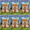 Breyer Mystery Pocket Box Dogs Blind Bag 6 Pack Model #1590 view 1