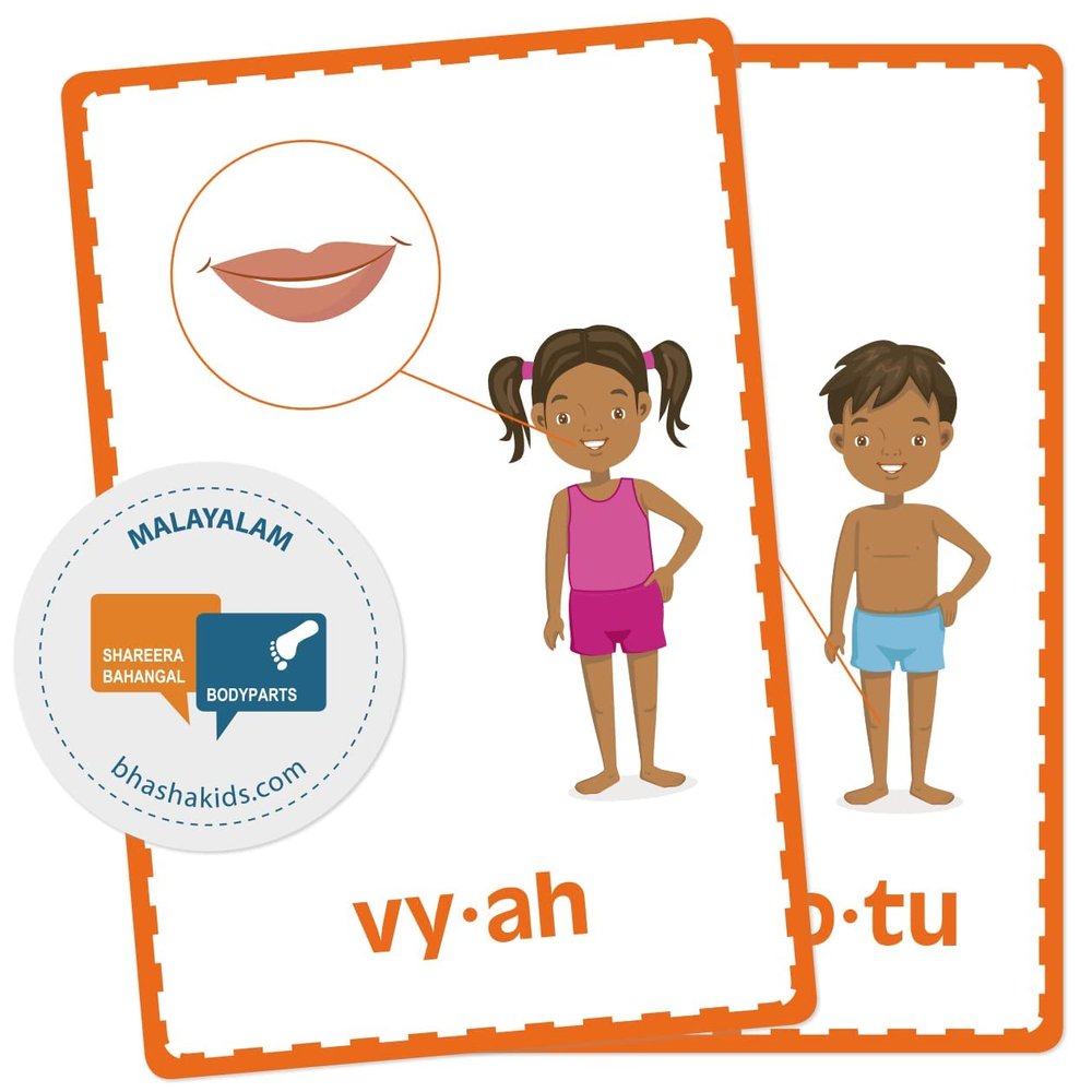 BhashaKids: Malayalam Vocabulary Set. Kids Learn Malayalam Through English. Malayalam Bilingual Vocabulary Cards - Toddlers/Kids.