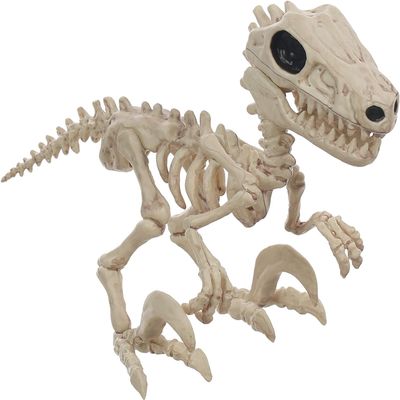 Seasons (HK) Ltd. 5.5" Raptor Crazy Bonez Standard