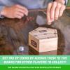 GoSports Keep The Change - Tabletop Coin Drop Dice Game, Includes 2 Dice and Game Rules view 3