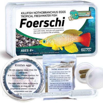 GreenWaterFarm Killifish Eggs Nothobranchius [Foerschi] - Tropical Freshwater Fish Eggs for Hatching, Packed with Food, Dropper, and Indian Almond Leaves, Suitable for Education and as a Hobby