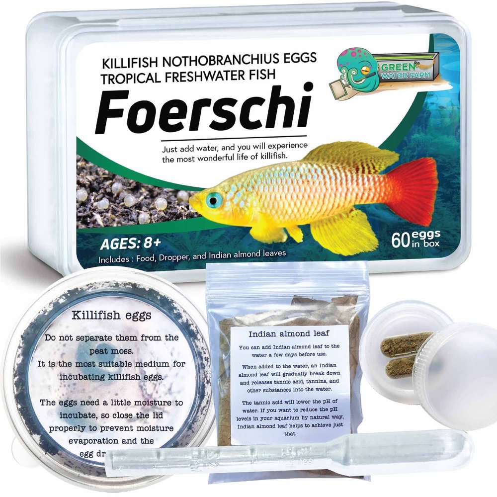 GreenWaterFarm Killifish Eggs Nothobranchius [Foerschi] - Tropical Freshwater Fish Eggs for Hatching, Packed with Food, Dropper, and Indian Almond Leaves, Suitable for Education and as a Hobby