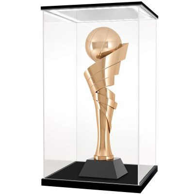 LANSCOERY Acrylic Display Case with Adjustable Yellow/White/Warm LED Light, UV Protection Clear Display Box, Dustproof Showcase for Action Figures, Models, Collectibles - 7.9x7.9x13.8inch