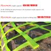 DREAMOSA Climbing Net Outdoor,Obstacle Net for Kids Backyard,Playground Safety Swing Set Treehouse Protection Fence Decor Webbing Net Rope Ladder,for Ninja Slackline,Training Equipment,Green view 3