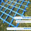 DREAMOSA Climbing Net for Kids Indoor,Cargo Net Climbing Adult,Ninja Line Obstacle Course Swing Set Jungle Gym Playground Safety Nets Netting Climbing Ladder,Polyester Webbing Heavy Duty,Blue view 3