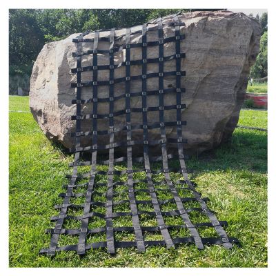 DREAMOSA Climbing Cargo Net Black,Playground Cargo Net,Ninja Rope Ladder Outdoor Obstacle Course Treehouse Swingset Jungle Gyms Indoor Climbing Wall Webbing Net Nets Netting,for Kids and Adult